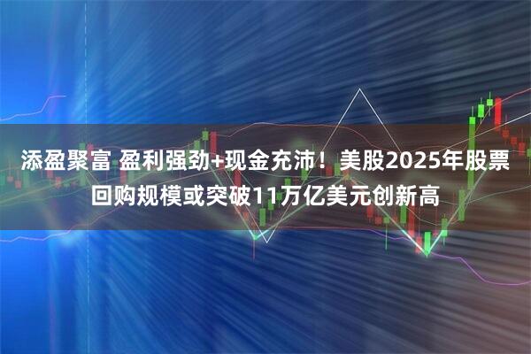 添盈聚富 盈利强劲+现金充沛！美股2025年股票回购规模或突破11万亿美元创新高