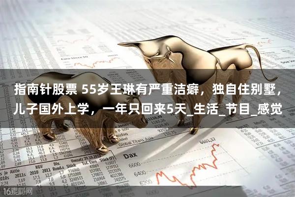 指南针股票 55岁王琳有严重洁癖，独自住别墅，儿子国外上学，一年只回来5天_生活_节目_感觉