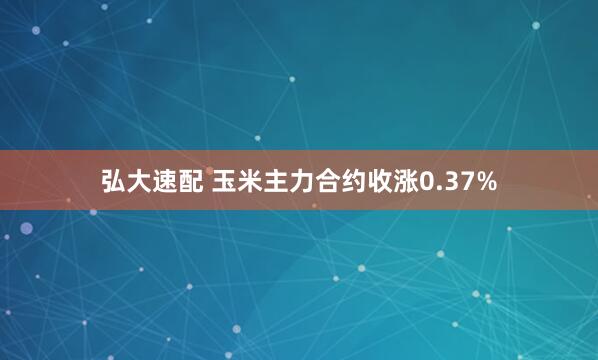 弘大速配 玉米主力合约收涨0.37%