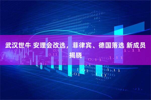 武汉世牛 安理会改选，菲律宾、德国落选 新成员揭晓