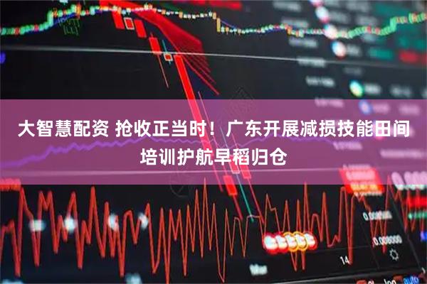 大智慧配资 抢收正当时！广东开展减损技能田间培训护航早稻归仓