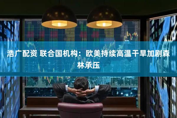 浩广配资 联合国机构：欧美持续高温干旱加剧森林承压